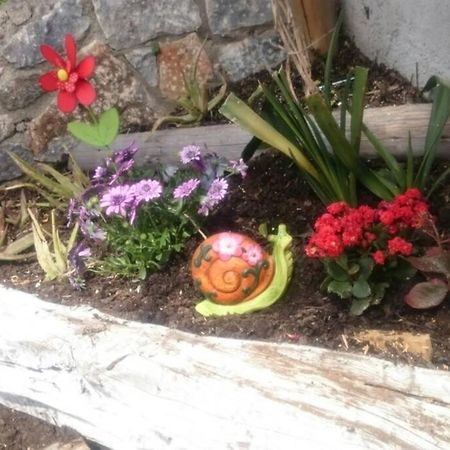Apartmán Nemesis Paleochora Chania  Exteriér fotografie