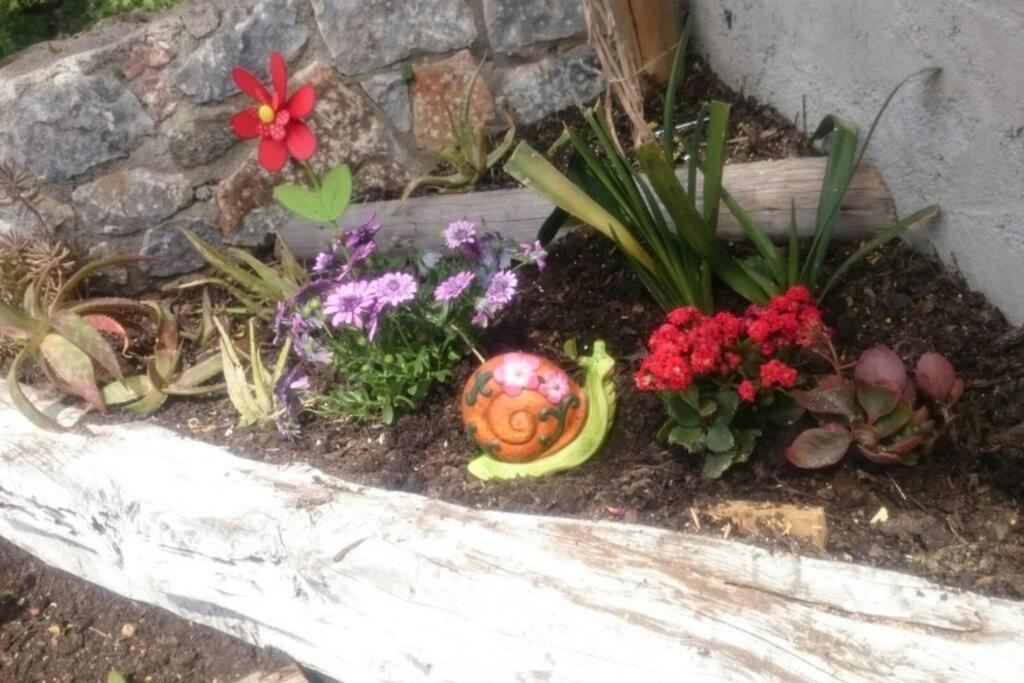 Apartmán Nemesis Paleochora Chania  Exteriér fotografie